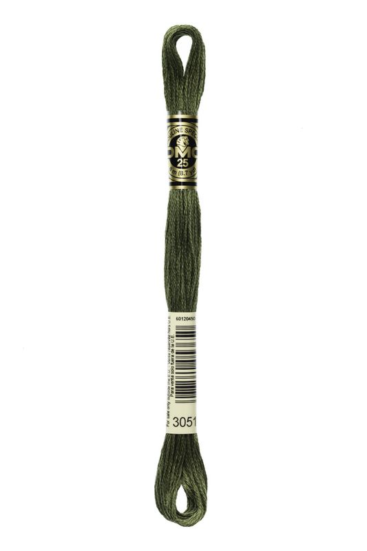 DMC Mouline 3051