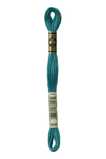 Hovedbilde DMC Mouline 3848