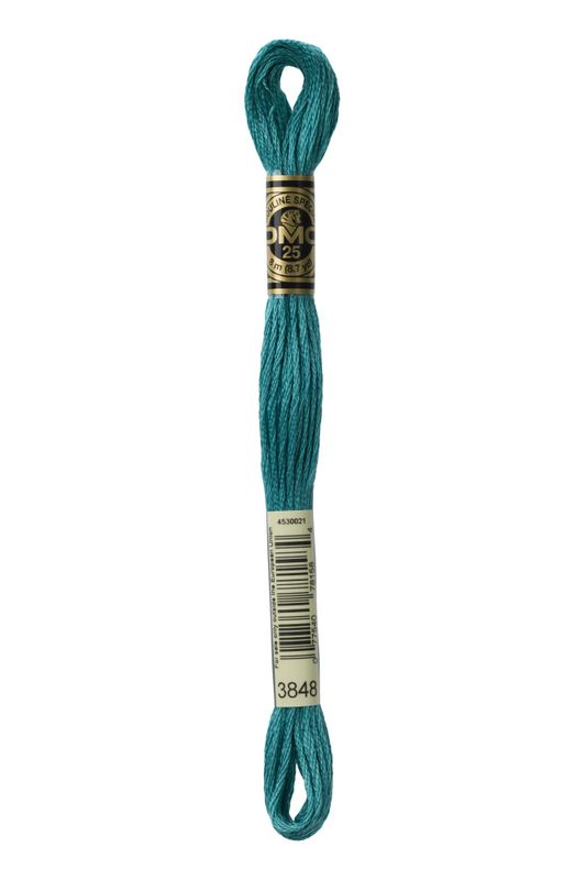 DMC Mouline 3848