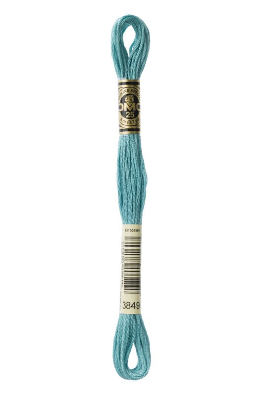 DMC Mouline 3849