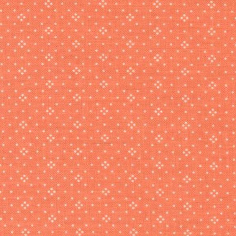 Cinnamon Cream Coral