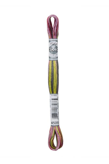 Hovedbilde DMC Coloris 4509