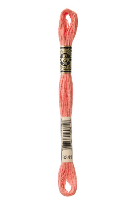 Hovedbilde DMC Mouline 3341