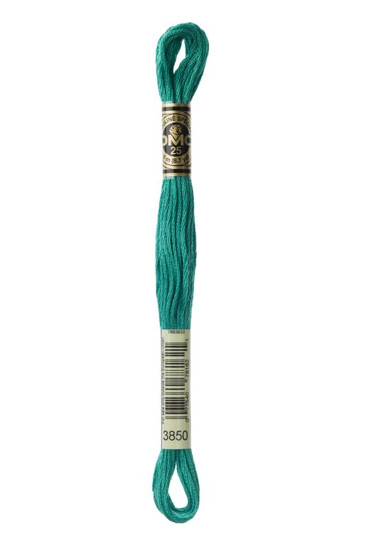 DMC Mouline 3850