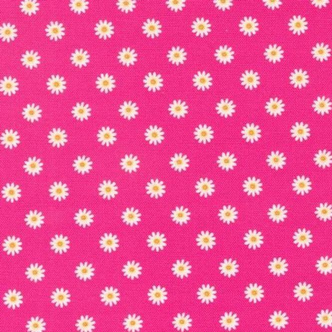 Hovedbilde Margeritter på hot pink 70cm ...