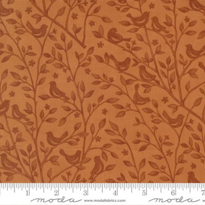 Hovedbilde Family Tree Ginger - greiner ...