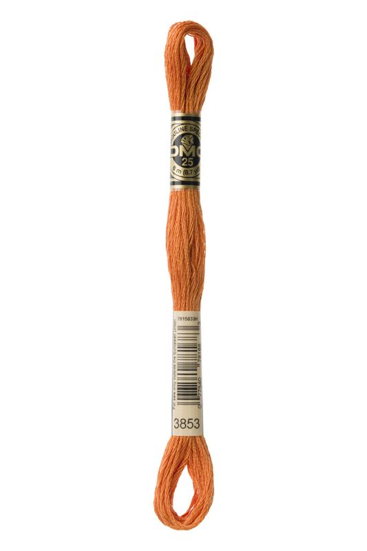 DMC Mouline 3853