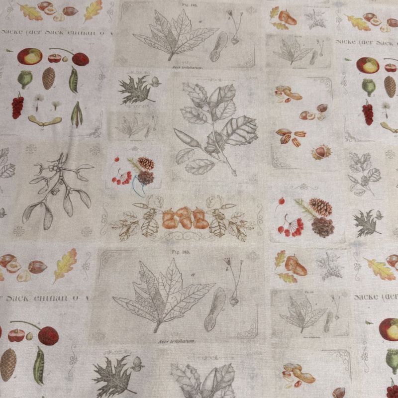 Herbarium 
