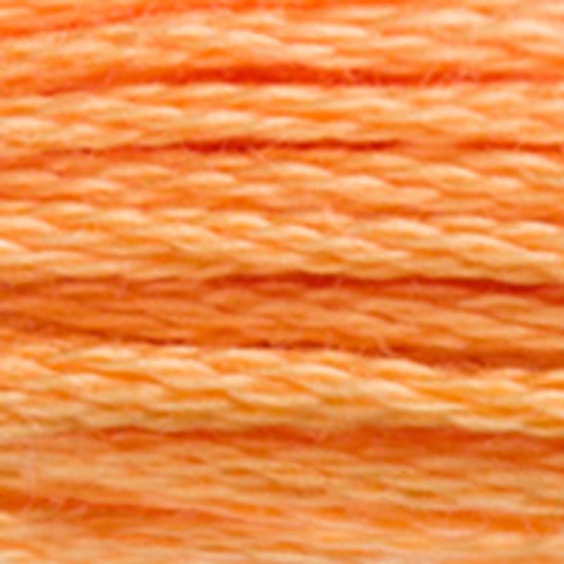 DMC Mouline 3854
